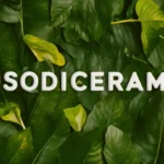 sodiceram