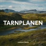 Tarnplanen