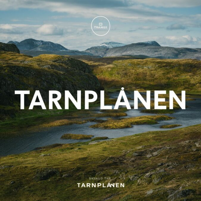 Tarnplanen